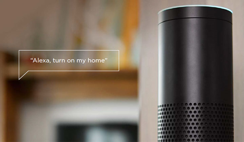 Alexa device with example prompt