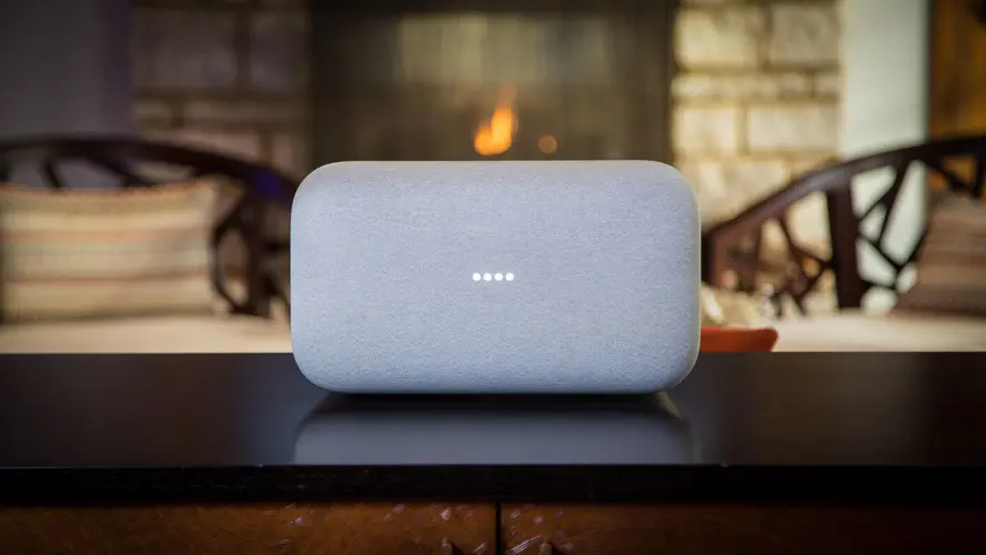 Google Max in front of fireplace