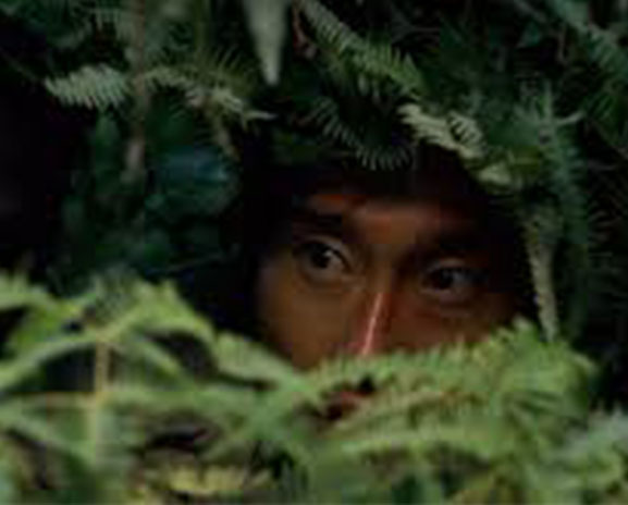 Burglar hiding in bushes