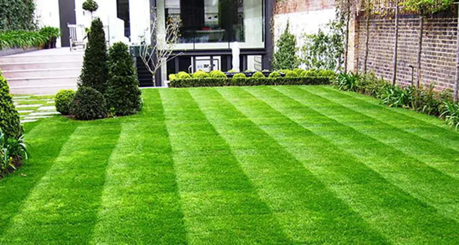 Smart garden lawn